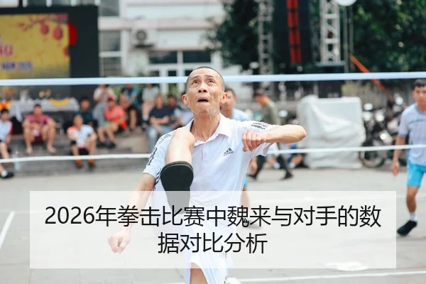 2026年拳击比赛中魏来与对手的数据对比分析