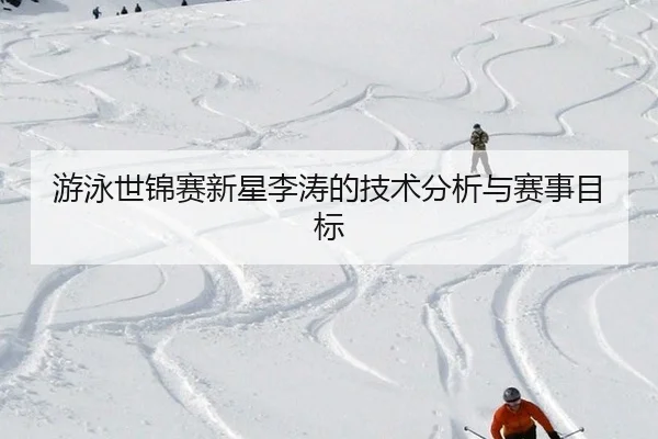 you-yong-shi-jin-sai-xin-xing-li-tao-de-ji-shu-fen-xi-yu-sai-shi-mu-biao-2-655.jpg