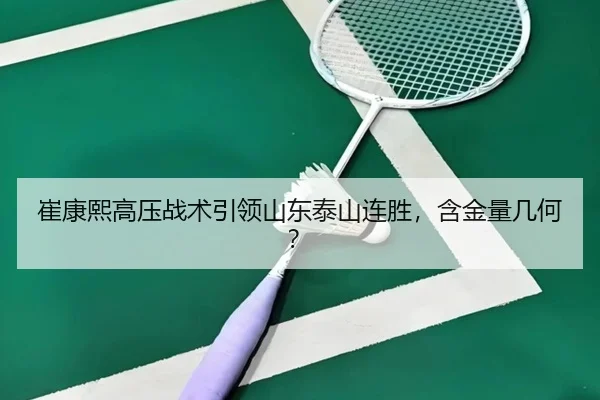 cui-kang-xi-gao-ya-zhan-shu-yin-ling-shan-dong-tai-shan-lian-sheng-han-jin-liang-ji-he-2-582.jpg