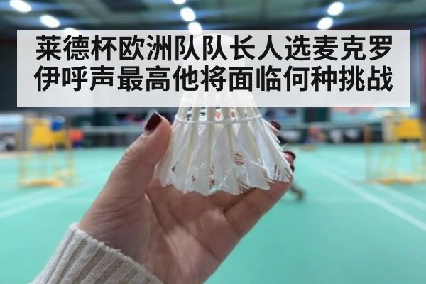 莱德杯欧洲队队长人选麦克罗伊呼声最高他将面临何种挑战